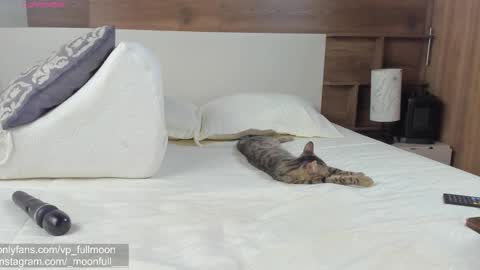  fullmoon online show from 03/21/26, 07:28