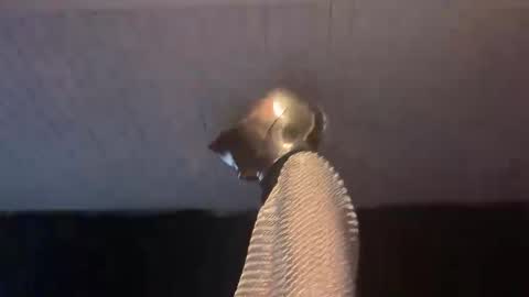 Snapshot of _goodknight chatting on 02/03/25, 05:07 GOODKNIGHT online show from 02/03/25, 05:07