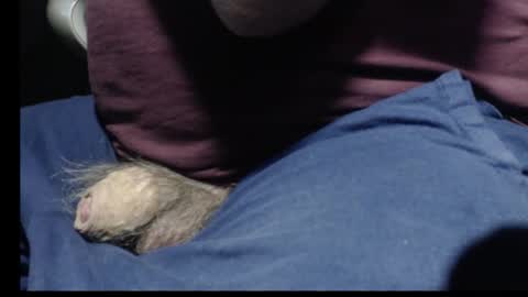 _jimmini online show from 02/12/26, 08:59