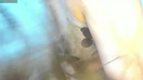 Mily online show from 02/15/25, 09:15