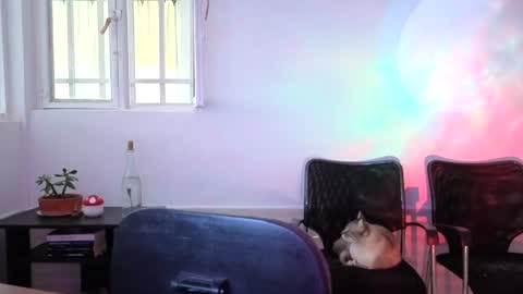 _lunablondie_ online show from 08/05/26, 02:31