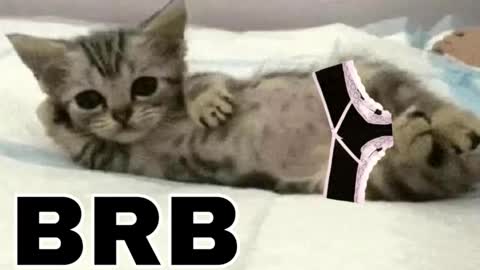 miko3 online show from 02/01/26, 10:30