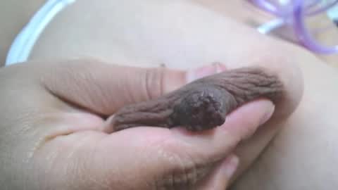  Mia  online show from 03/07/25, 07:27