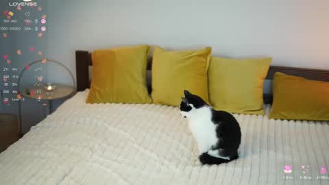 Snapshot of _million_dollarsmile chatting on 12/01/25, 12:43 _million_dollarsmile online show from 12/01/25, 12:43