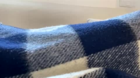 _muestroverga online show from 03/15/26, 07:03