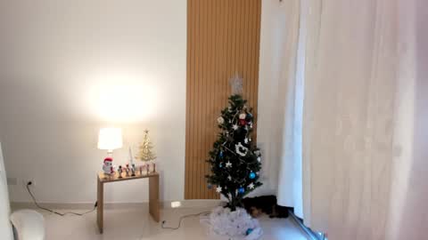 Snapshot of _samsexy_ chatting on 12/28/24, 09:08 Sam --- next stream 1 dic food and vino show . online show from 12/28/24, 09:08