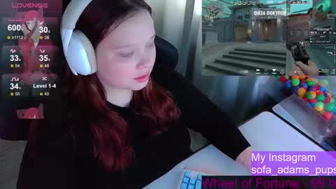 pups online show from 02/02/26, 09:52