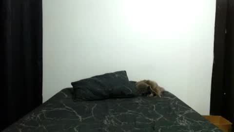 Sofia Parker online show from 11/13/25, 03:55