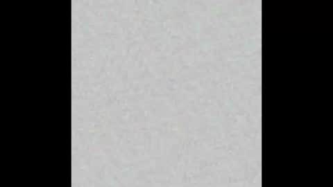 _tammarra_ online show from 02/03/26, 06:13