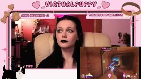 puppy online show from 08/07/26, 11:51