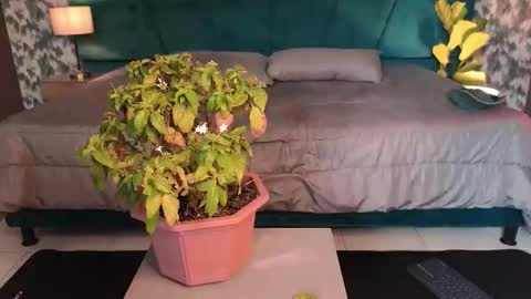 Aaron Ezequiel online show from 01/31/26, 08:51