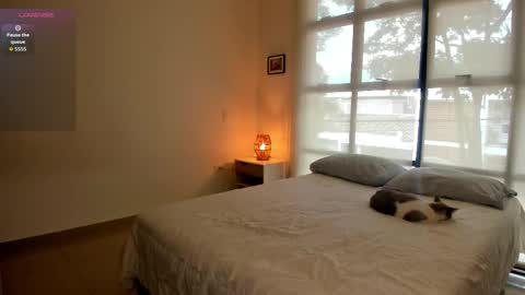 Aaron online show from 03/26/26, 04:12