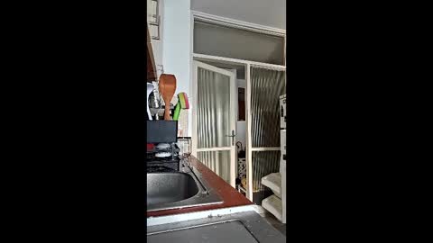 abbel_stone online show from 03/15/26, 03:51