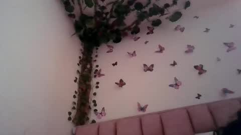 Snapshot of abby_moss_2 chatting on 06/12/26, 12:48 abby_moss_2 online show from 06/12/26, 12:48