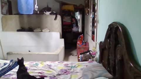 Abby online show from 01/26/25, 11:50