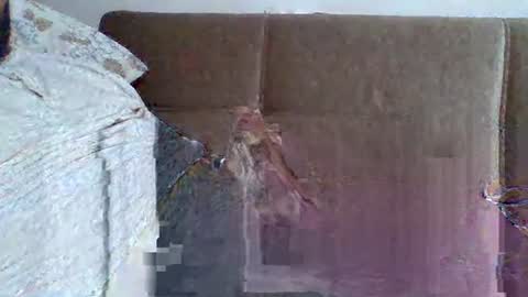 abdil_34 online show from 02/05/25, 09:18