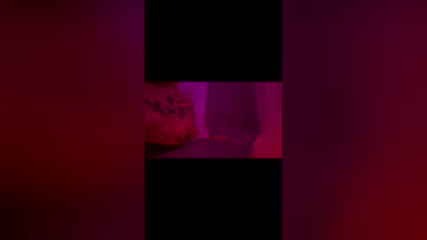 abigrace online show from 04/10/26, 12:27