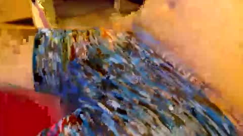 abigspermdonor online show from 01/13/26, 01:11