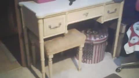 Snapshot of adamsny chatting on 02/21/25, 07:56 adamsny online show from 02/21/25, 07:56