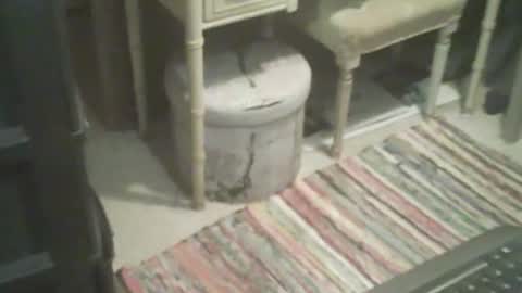 adamsny online show from 11/04/25, 08:46