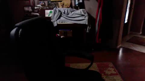 Snapshot of add_me_2 chatting on 11/17/25, 04:13 add_me_2 online show from 11/17/25, 04:13