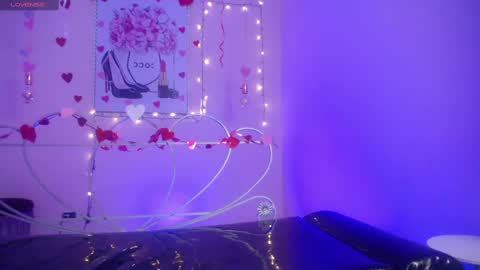 Snapshot of adri_gomez_1 chatting on 02/13/25, 06:52 Adri online show from 02/13/25, 06:52