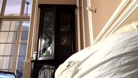 adrienfromparis online show from 03/19/26, 08:07