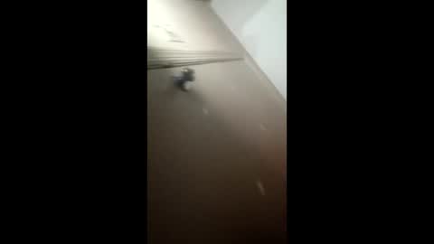 afnuke000 online show from 03/04/26, 09:15