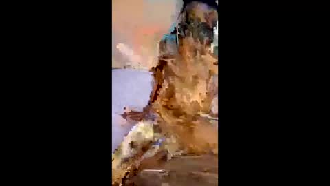 Wendy online show from 04/27/26, 06:06