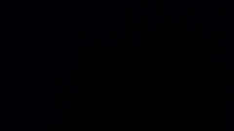 Henry    Sir Dakuza african name online show from 03/12/26, 04:02