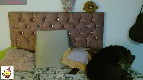 Cris owo online show from 01/06/26, 01:09