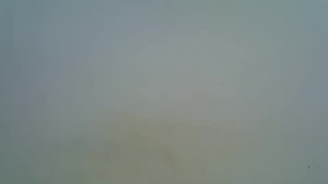 Snapshot of afronubians chatting on 03/05/25, 09:16 afronubians online show from 03/05/25, 09:16