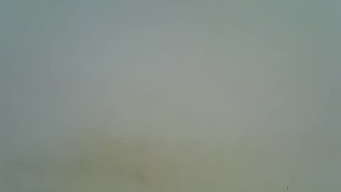 Snapshot of afronubians chatting on 03/06/25, 08:37 afronubians online show from 03/06/25, 08:37