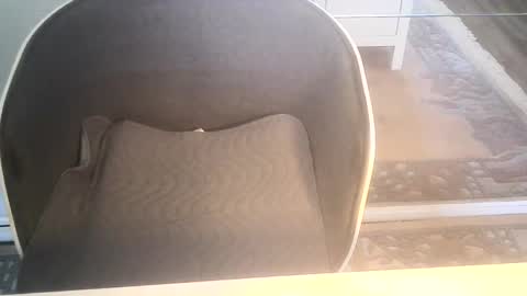 Snapshot of ahmole chatting on 01/10/25, 09:34 Ole online show from 01/10/25, 09:34