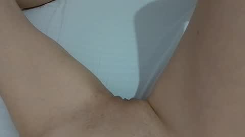 Taylor online show from 12/10/24, 01:11