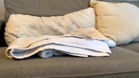 canadianboy92 online show from 11/06/25, 04:52