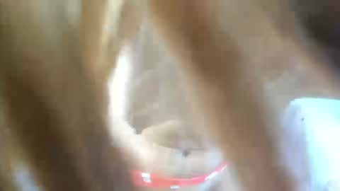 Snapshot of aisha_violeht chatting on 02/25/26, 02:37 aisha_violeht online show from 02/25/26, 02:37