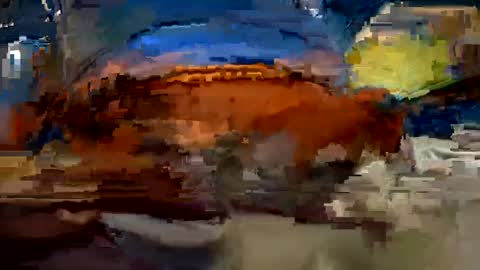 Snapshot of aj297914 chatting on 10/01/25, 03:34 aj297914 online show from 10/01/25, 03:34