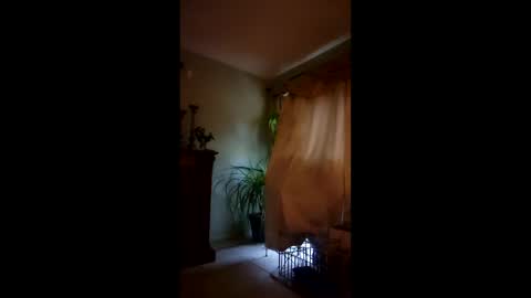 ajiii1313 online show from 04/04/26, 09:34