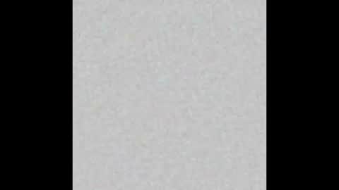 Alaia online show from 10/02/25, 11:28