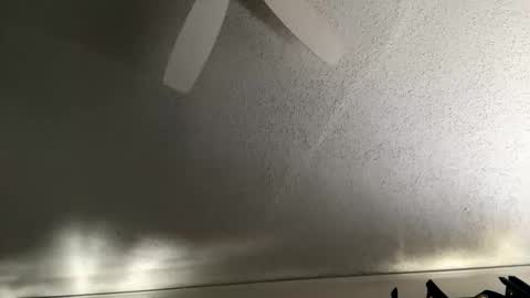 Dinky online show from 01/07/26, 05:26