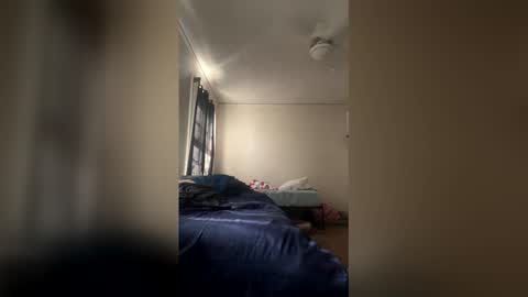 Dinky online show from 04/26/26, 04:04