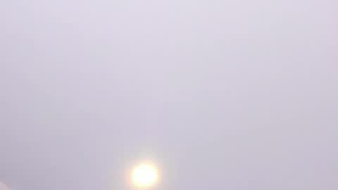 Alanna  online show from 04/09/26, 06:19