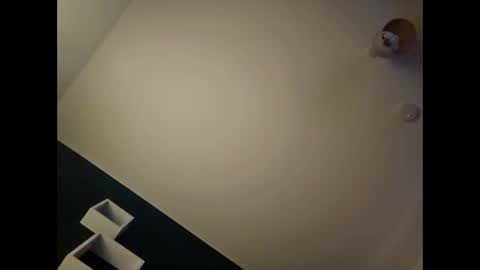 alannovak8 online show from 11/20/25, 12:00