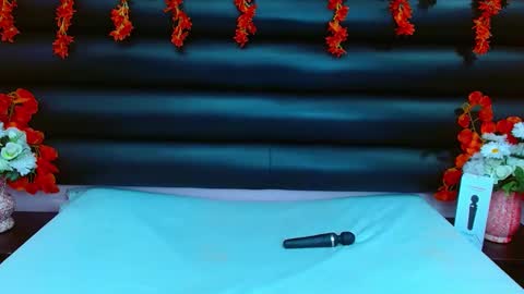 AlaSmith  online show from 02/11/25, 02:03