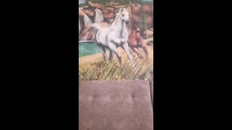 Snapshot of albina6543 chatting on 02/16/26, 07:48 albina online show from 02/16/26, 07:48