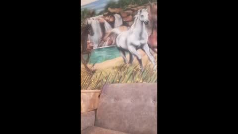 Snapshot of albina6543 chatting on 02/24/26, 08:23 albina online show from 02/24/26, 08:23