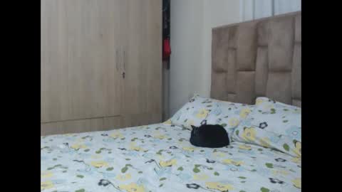 Snapshot of aleejhandra chatting on 01/28/25, 11:17 alejandra online show from 01/28/25, 11:17