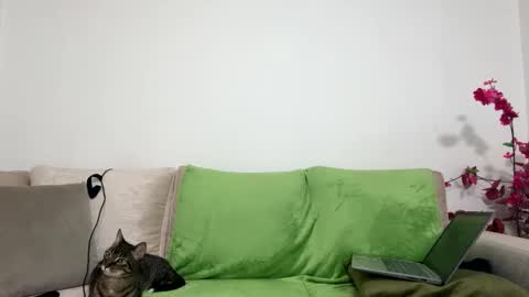 alejo__twinkboy online show from 01/30/25, 08:11