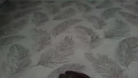 Snapshot of aletta_oushen chatting on 01/12/25, 11:17 Aletta Oushen online show from 01/12/25, 11:17